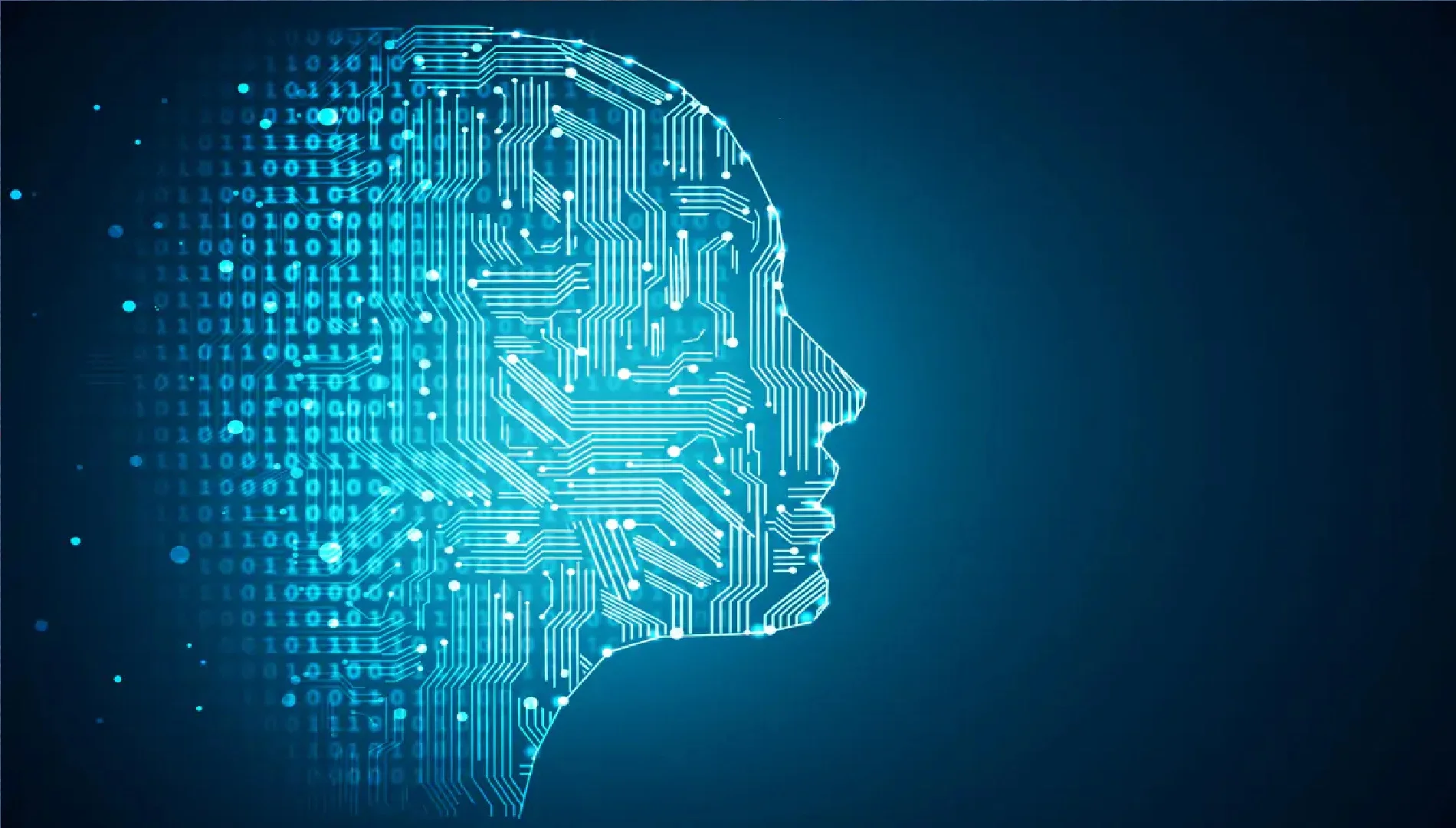 Sürücü Kursları ve E-Sınav Sürecinde Başarıya Ulaşmanın Yolları